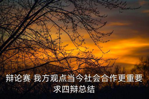 辯論賽 我方觀點當今社會合作更重要求四辯總結