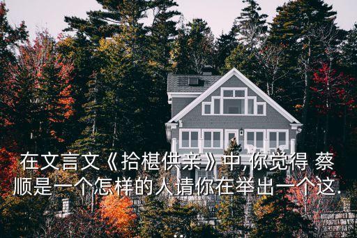 蔡順,中國孝順兒子摘桑葚送老父當義軍