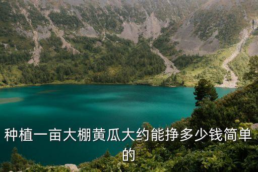 種植一畝大棚黃瓜大約能掙多少錢簡(jiǎn)單的