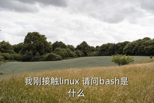 我剛接觸linux 請問bash是什么