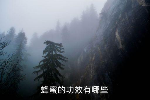 蜂蜜的功效有哪些