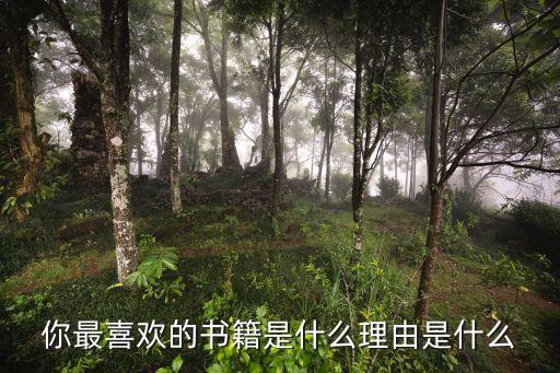 你最喜歡的書籍是什么理由是什么