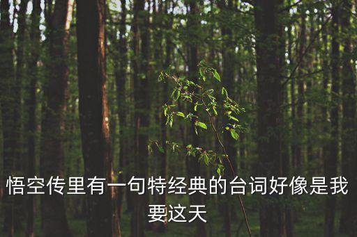 悟空傳里有一句特經(jīng)典的臺(tái)詞好像是我要這天