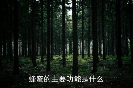 蜂蜜的主要功能是什么