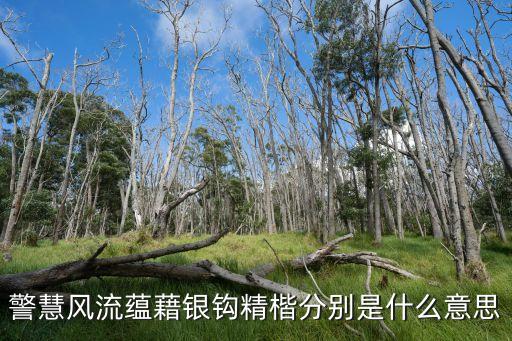 警慧風流蘊藉銀鉤精楷分別是什么意思
