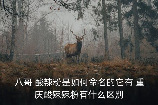 重慶八哥酸辣粉,重慶酸辣粉源于重慶又叫重慶紅薯粉
