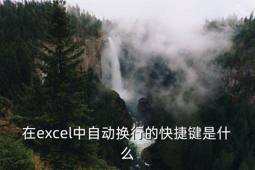 在excel中自動(dòng)換行的快捷鍵是什么