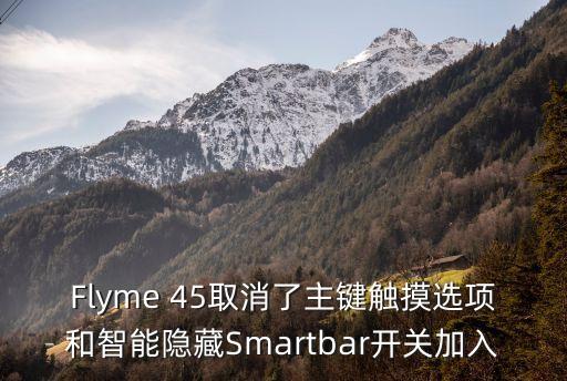 Flyme 45取消了主鍵觸摸選項和智能隱藏Smartbar開關加入