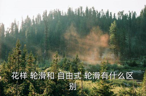 花樣 輪滑和 自由式 輪滑有什么區(qū)別