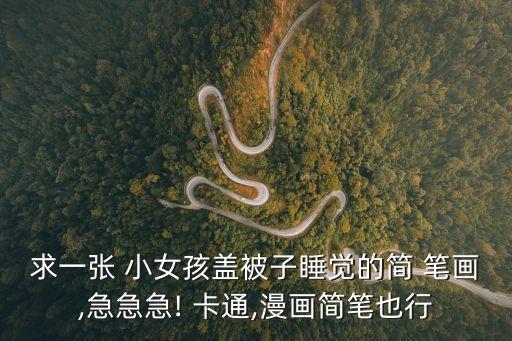 求一張 小女孩蓋被子睡覺的簡 筆畫,急急急! 卡通,漫畫簡筆也行