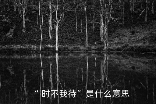 “ 時不我待”是什么意思