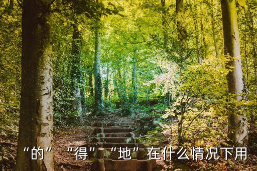 地的用法,精選新加坡四大新元素!