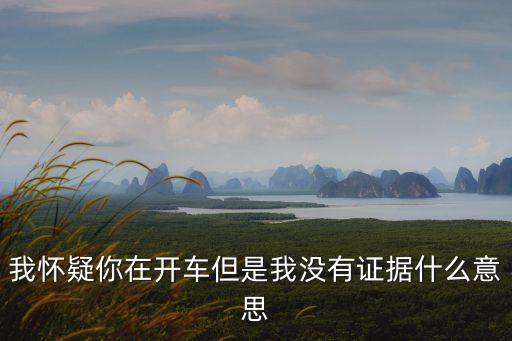 我懷疑你在開車但是我沒有證據什么意思