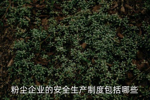 粉塵企業的安全生產制度包括哪些