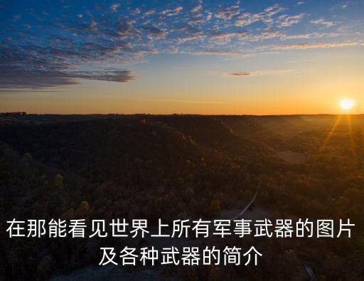 在那能看見世界上所有軍事武器的圖片及各種武器的簡介