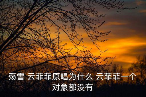 云菲菲,《雪落》原唱云菲菲沒有公開戀愛信息