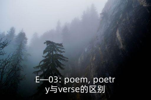 E—03: poem, poetry與verse的區(qū)別
