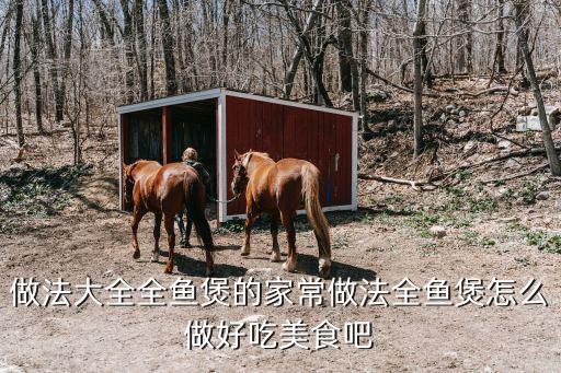 做法大全全魚煲的家常做法全魚煲怎么做好吃美食吧