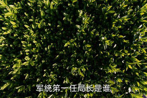 軍統(tǒng)笫一任局長是誰