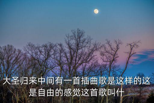 大圣歸來中間有一首插曲歌是這樣的這是自由的感覺這首歌叫什
