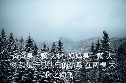 媽媽是棵大樹(shù),第一集:我和爸爸媽媽的故事