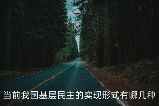 基層民主建設，當前我國基層民主的實現形式有哪幾種