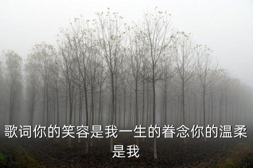 歌詞你的笑容是我一生的眷念你的溫柔是我