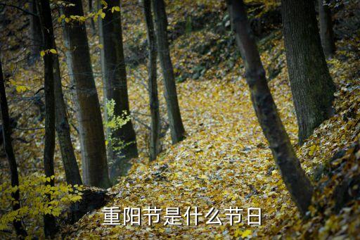  重陽節是什么節日
