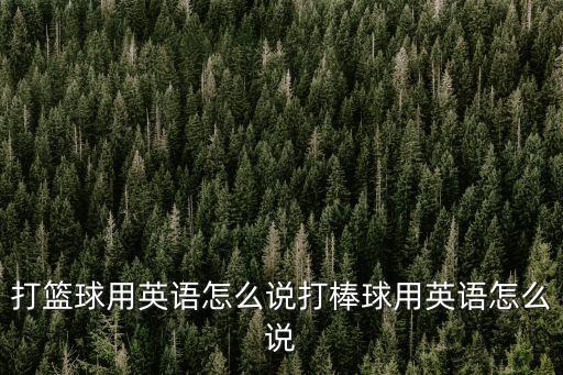 打籃球用英語怎么說打棒球用英語怎么說