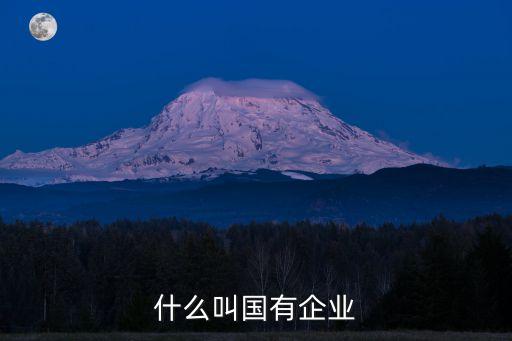 國有，什么叫國有企業(yè)