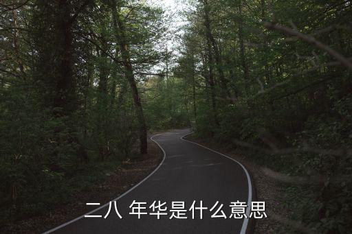 二八 年華是什么意思
