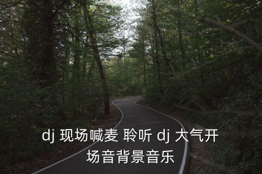 dj 現場喊麥 聆聽 dj 大氣開場音背景音樂