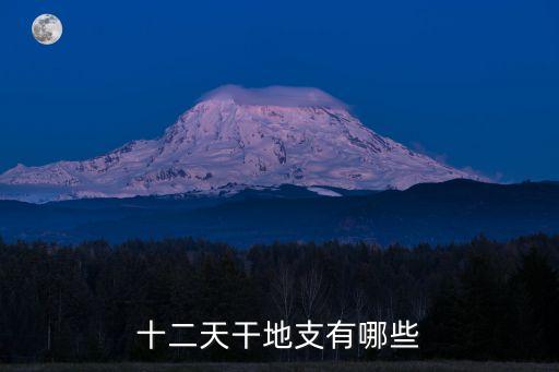 12天干地支，十二天干地支是哪些