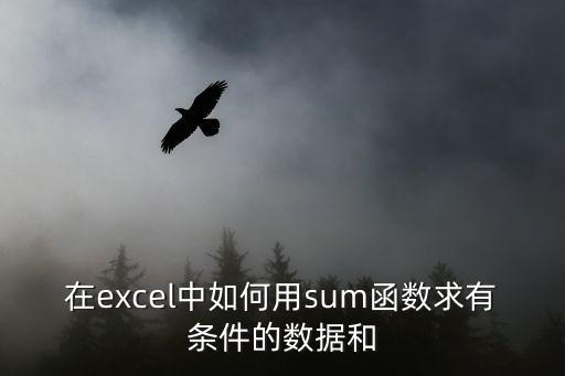 sum函數求和，在Excel里用sum這是求和