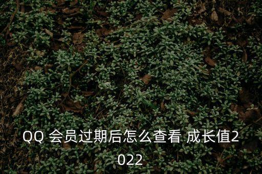 qq會員成長值,首次使用騰訊qqvip可以看到成長點!