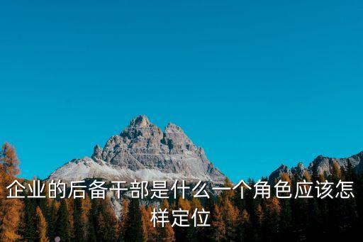 企業的后備干部是什么一個角色應該怎樣定位