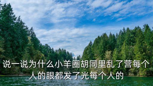 說一說為什么小羊圈胡同里亂了營每個人的眼都發了光每個人的