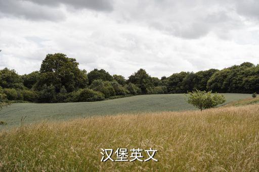 漢堡英文