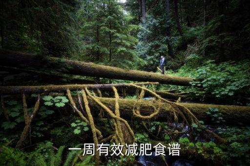 一周減肥食譜，一周減肥食譜