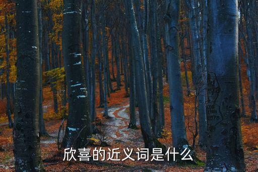 欣喜的近義詞，欣喜萬(wàn)分的近義詞