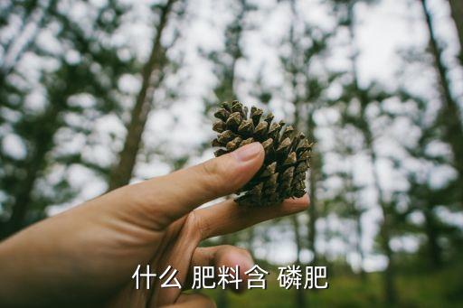 什么 肥料含 磷肥