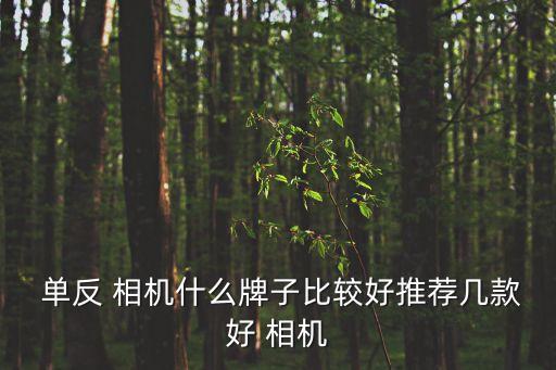 單反相機品牌,索尼和佳能單反市場占有率比較高
