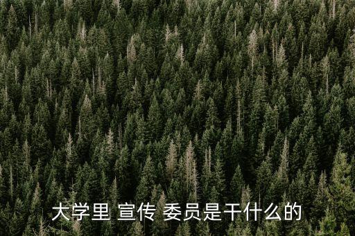 大學里 宣傳 委員是干什么的