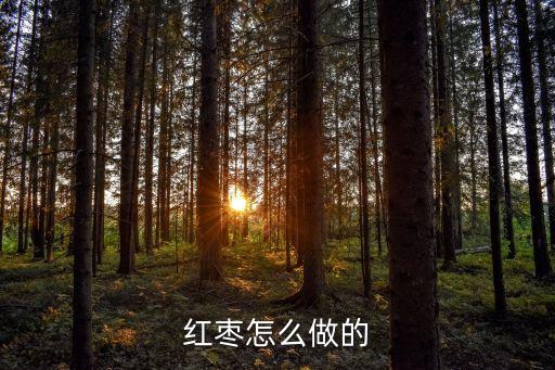 紅棗怎么做的