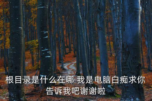 根目錄是什么，什么是windows根目錄