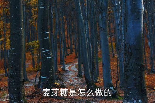 麥芽糖的做法，自制麥芽糖怎么做