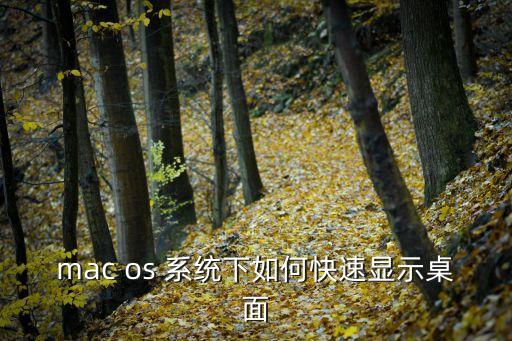 mac os 系統下如何快速顯示桌面