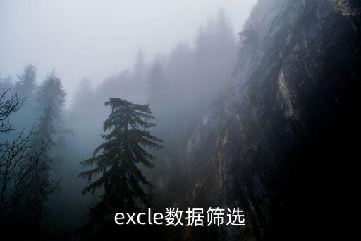 excle數據篩選