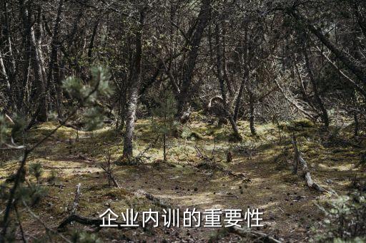 企業培訓的重要性，企業內訓的重要性