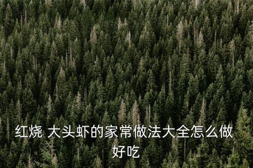 紅燒 大頭蝦的家常做法大全怎么做 好吃